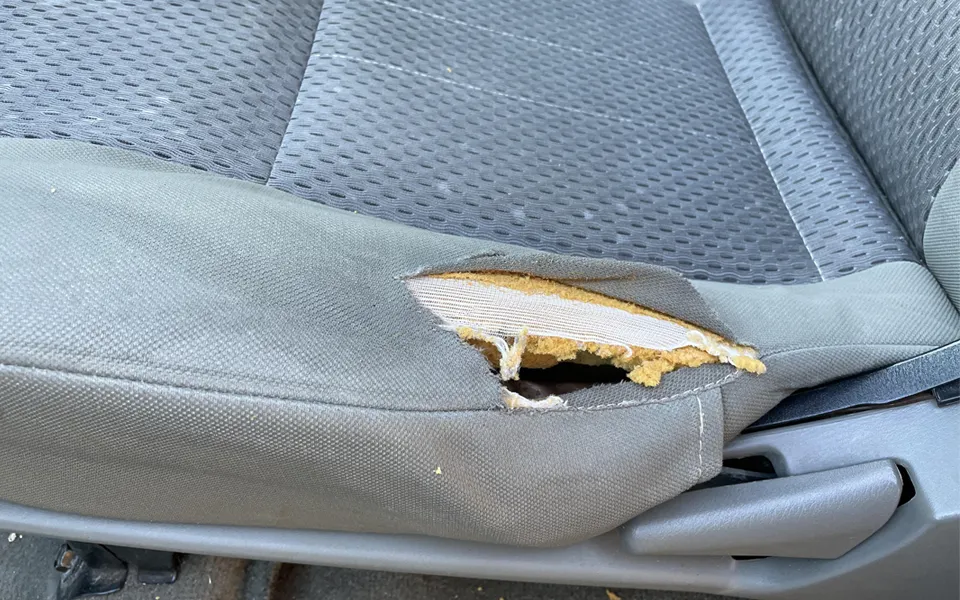 4. Interior Condition – Seats, Dashboard, Electronics
Test all electronics (windows, mirrors, seat adjustments) and inspect upholstery for tears or stains. Musty odors may reveal flood damage – a critical red flag in UAE’s climate.