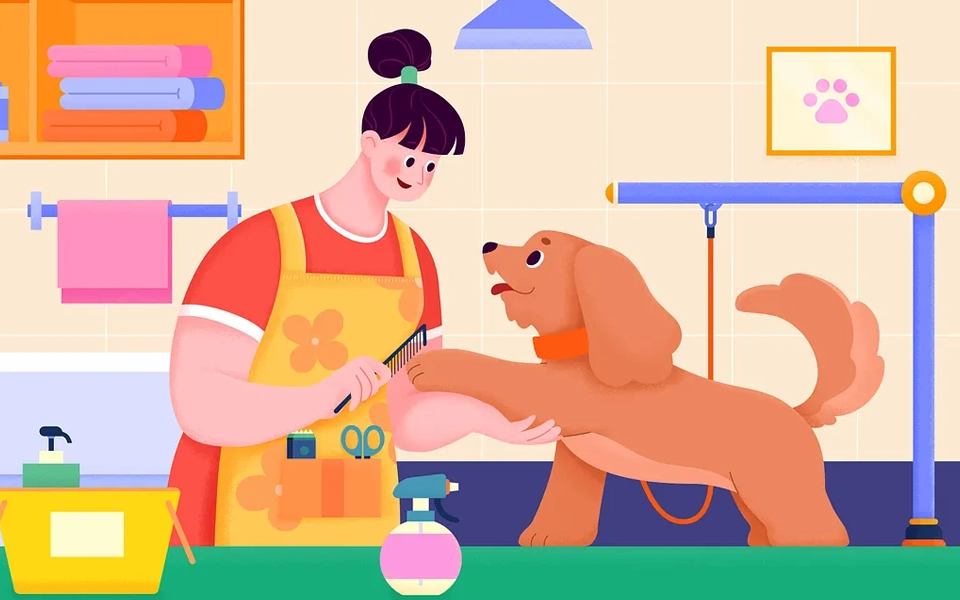 planning for long-term vet expenses with pet insurance in dubai