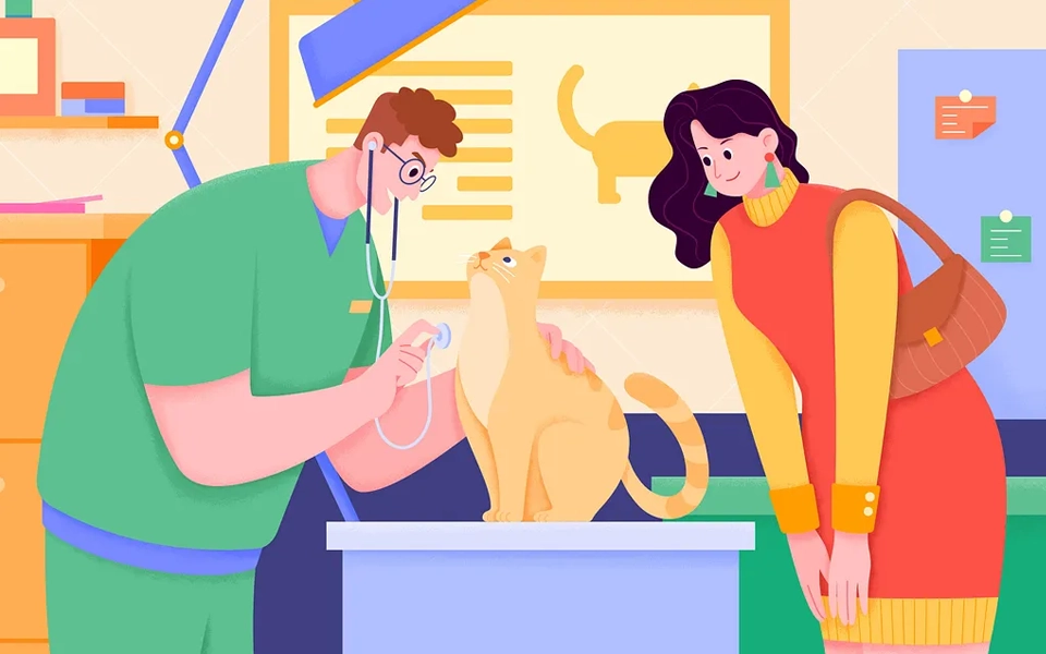 secure your pet’s health with emergency insurance support in dubai