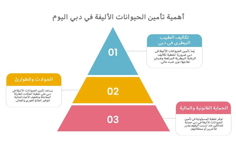 أهمية استمرار تأمين الحيوانات الأليفة في دبي لضمان رعايتها الصحية