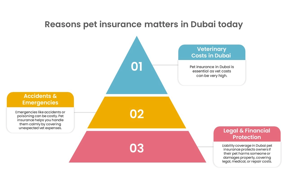 Why pet insurance remains essential for pet owners in Dubai