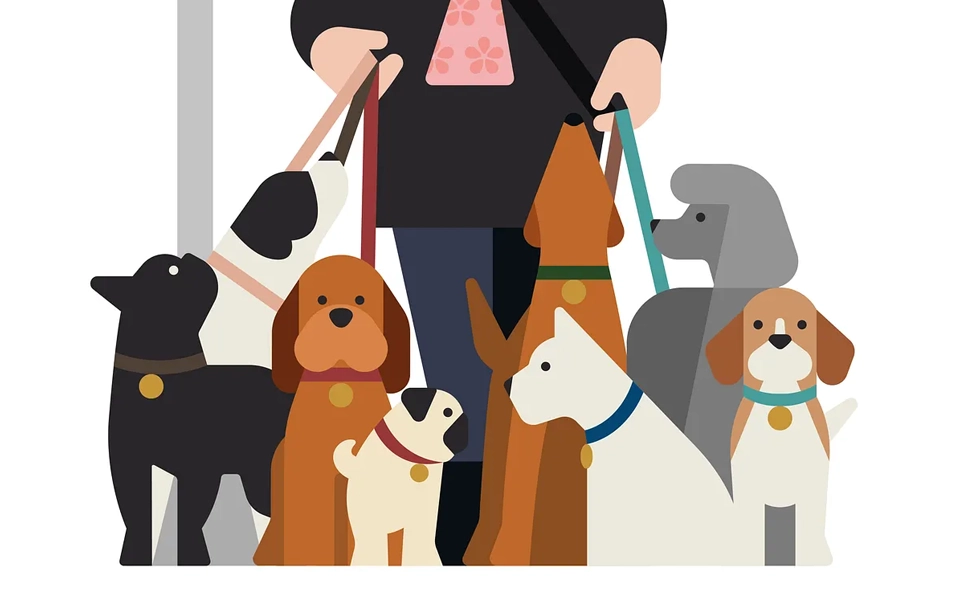 factors to consider based on your pet’s age breed and daily habits