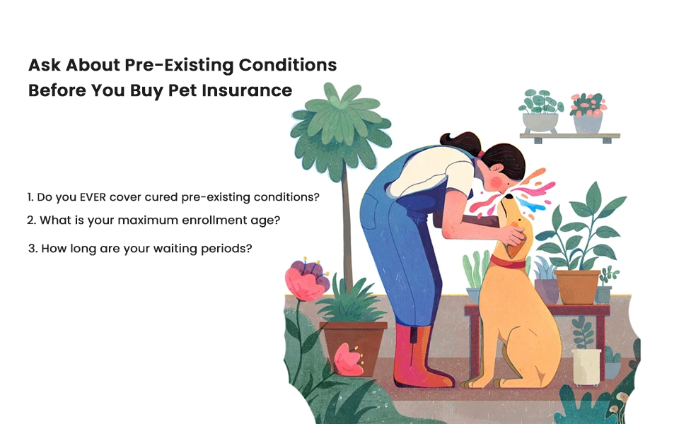 Ask about pre-existing conditions before purchasing pet insurance to avoid surprises.
