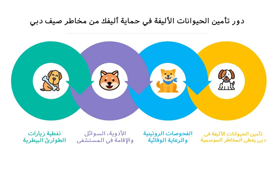 دور تأمين الحيوانات الأليفة في حماية أليفك من مخاطر صيف دبي