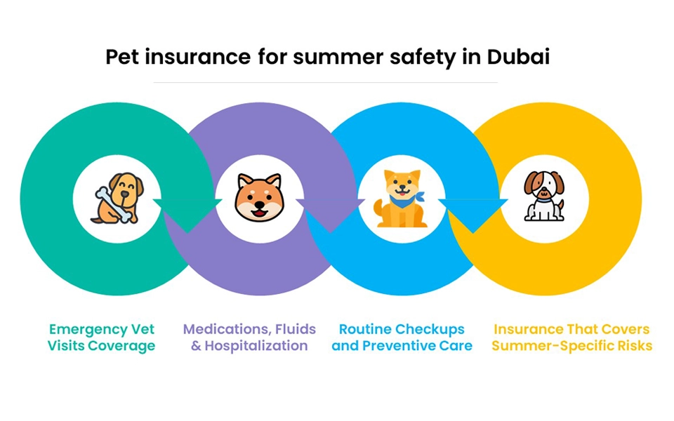 How pet insurance supports pet health during Dubai’s summer