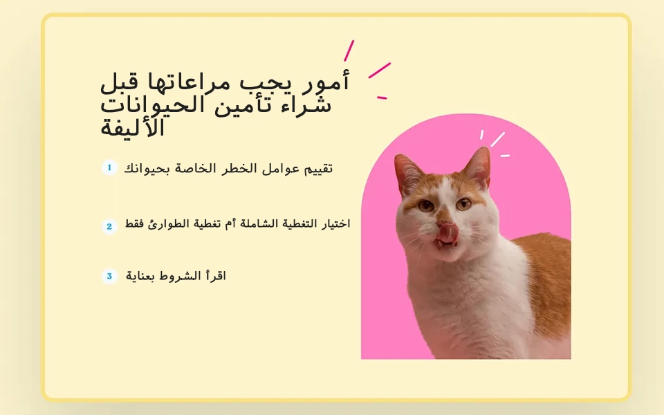 نصائح مهمة لمساعدتك في اختيار تأمين مناسب لحيوانك الأليف قبل الشراء