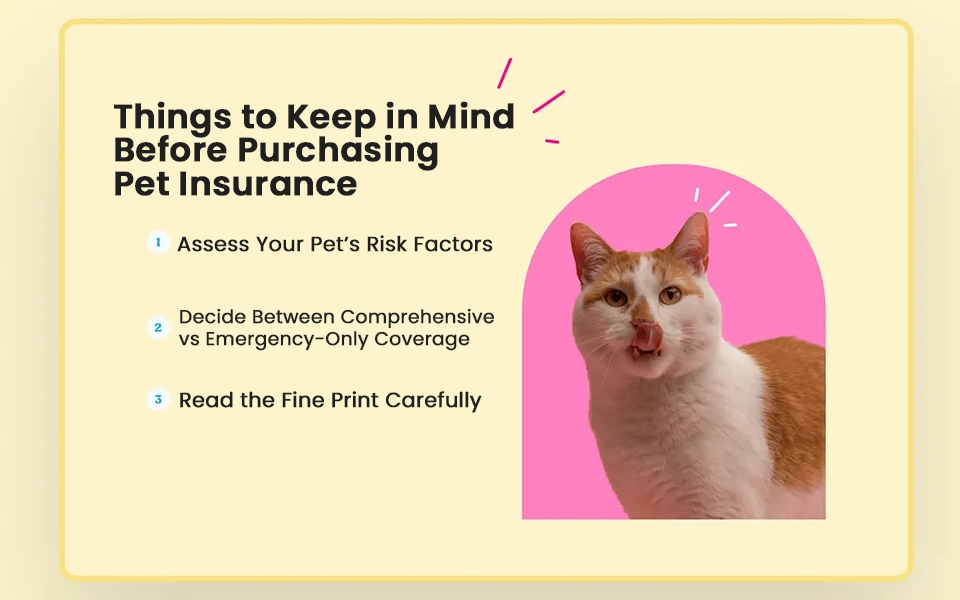 key factors to review before choosing an insurance policy