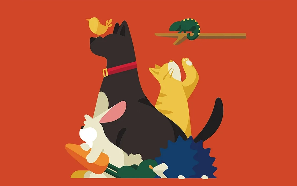 Understanding chronic, hereditary, and past medical issues classified as pre-existing conditions in pet insurance