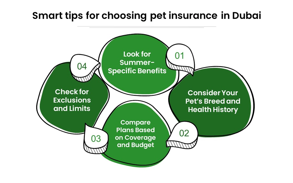Guide to choosing the best pet insurance in Dubai