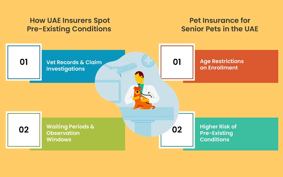 How UAE pet insurers define pre-existing conditions and coverage options for older pets