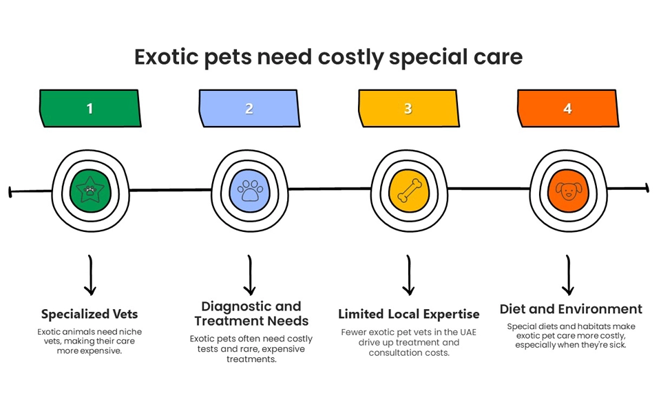 Explains why exotic pet care is costly due to special diets, rare vets, and treatments