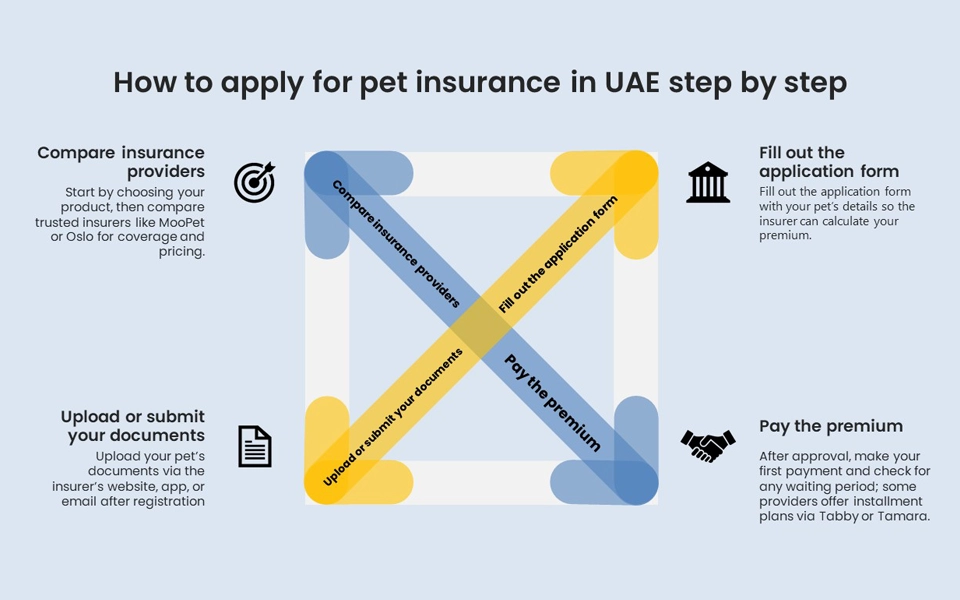 Step-by-step guide for applying for pet insurance in the UAE