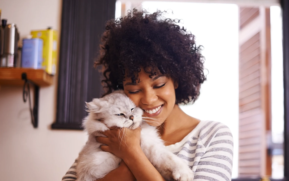 Document showing proof of pet ownership required for insurance application