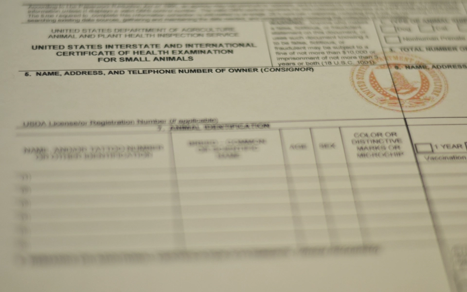 Recent veterinary health certificate , Documents for pet insurance application