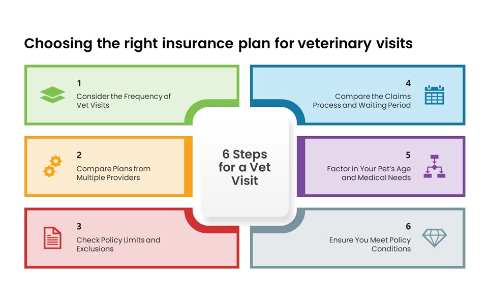 6 steps to choose the right plan for vet visits