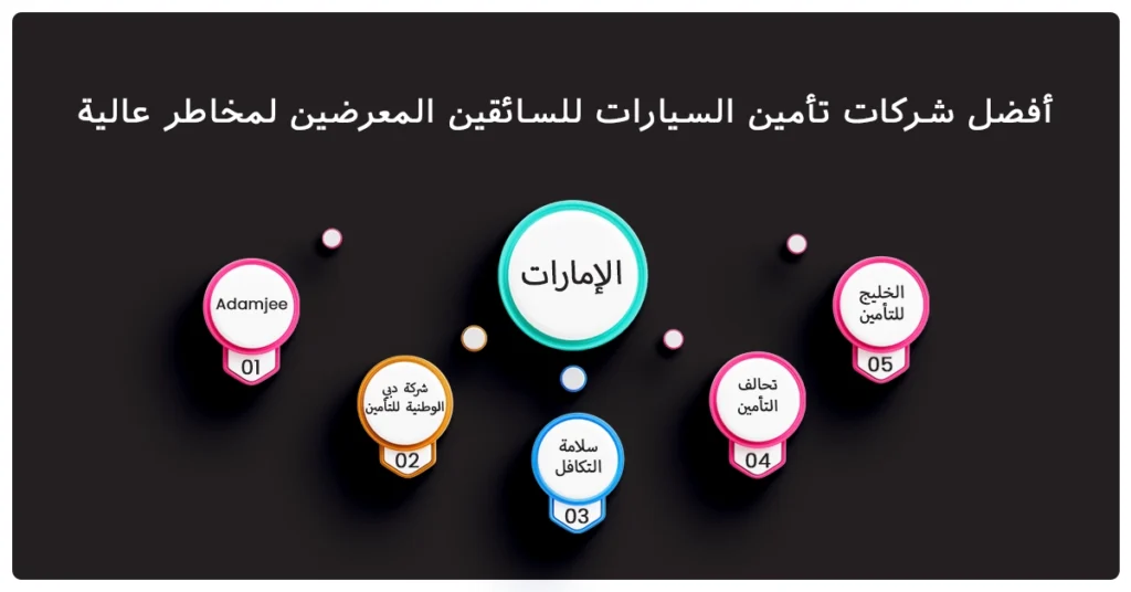 أفضل شركات تأمين السيارات للسائقين المعرضين لمخاطر عالية