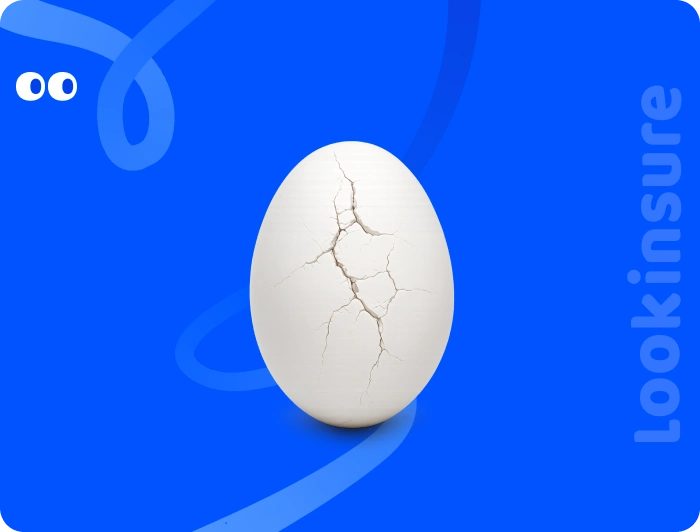 الصورة البارزة للدليل الكامل لتأمين السيارة ضد أضرار البَرَد