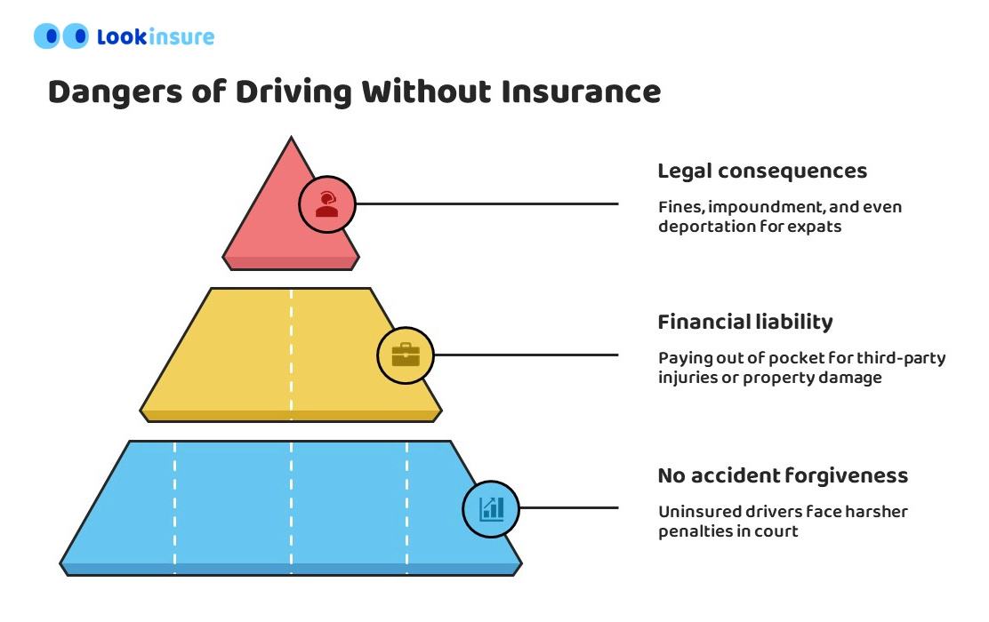 infographic showing Dangers of Driving Without Insurance
