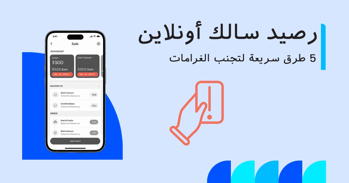 التحقق من رصيد سالك