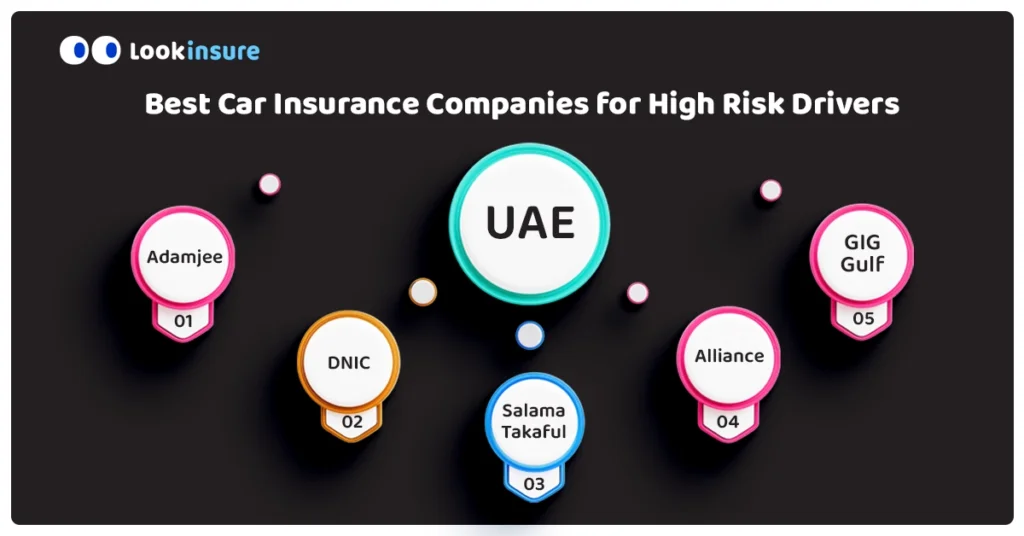 infographic showing Best Car Insurance Companies for High Risk Drivers