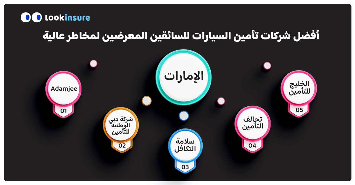 رسم بياني يوضح أفضل شركات تأمين السيارات للسائقين ذوي المخاطر العالية