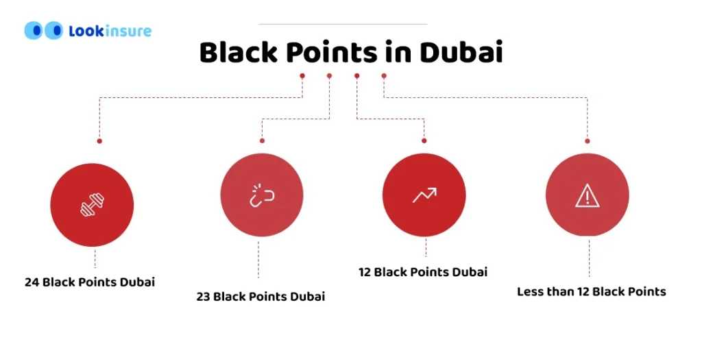 infographic showing Violations of License Black Points in Dubai