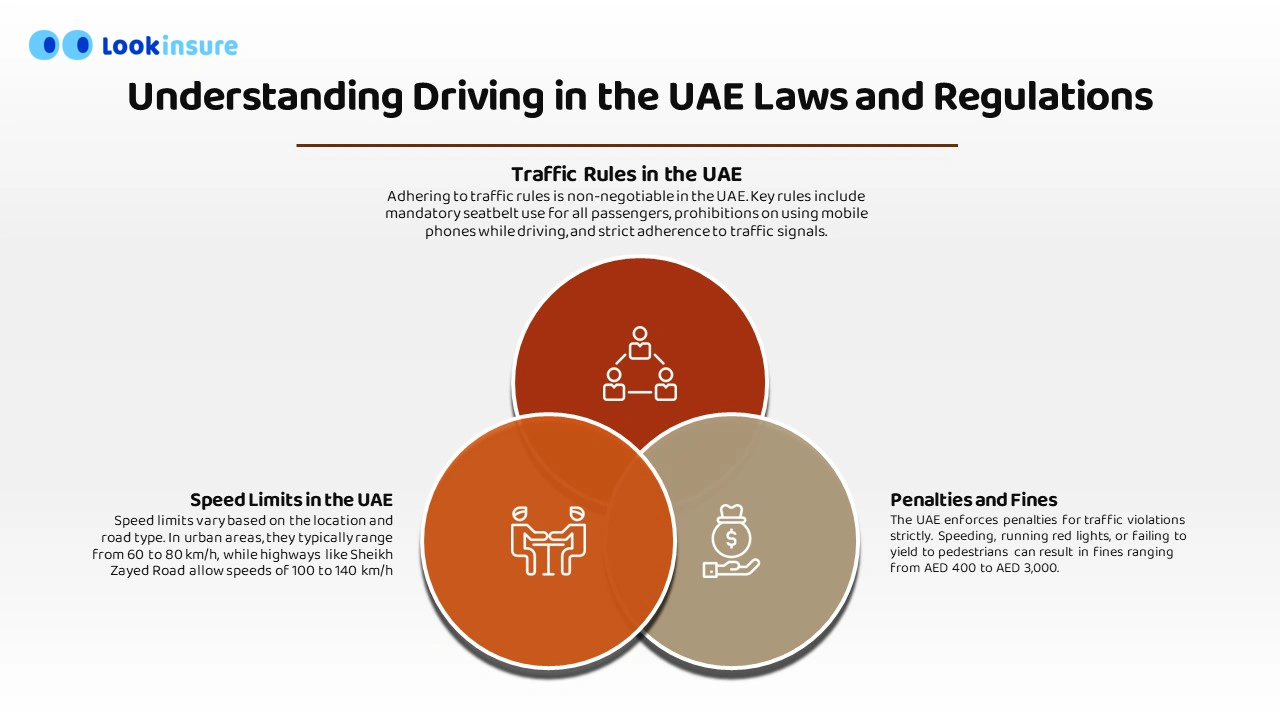 Main traffic laws to know about driving in the UAE
