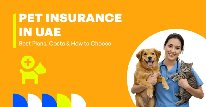 choosing the right pet insurance plan and understanding costs in the uae