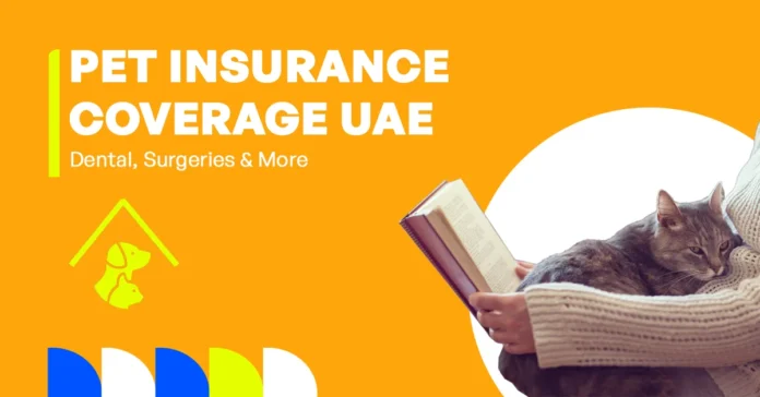 Overview of pet insurance coverage in the UAE, including dental care and surgeries.