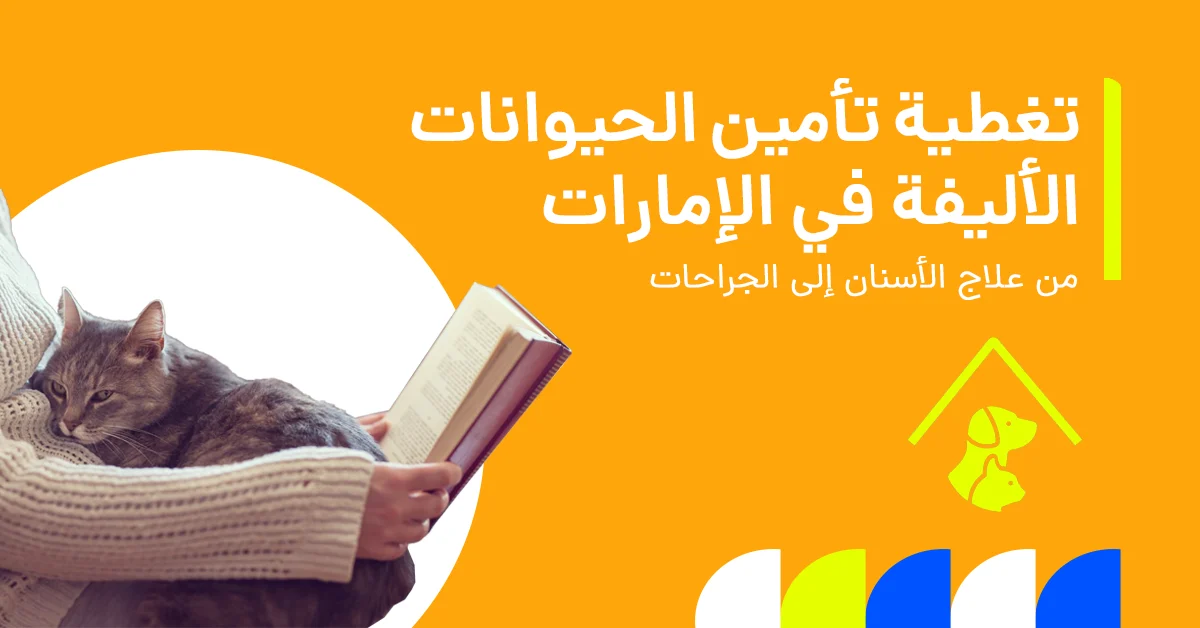 تغطية تأمين الحيوانات الأليفة في الإمارات