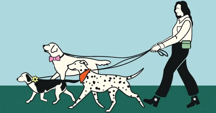 Regulations on pet insurance for tenants and homeowners in Dubai