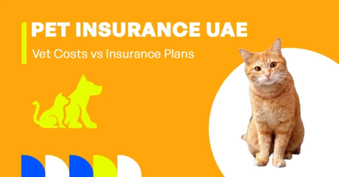 comparing pet care expenses with insurance options in the uae