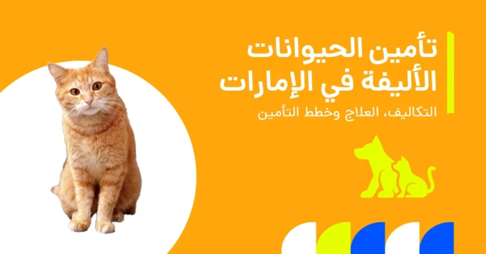 هل تأمين الحيوانات الأليفة مفيد في الإمارات؟