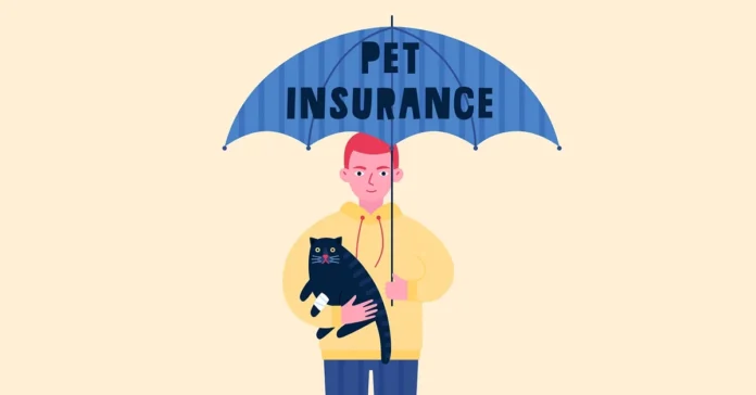 choosing the right pet insurance plan and understanding costs in the uae