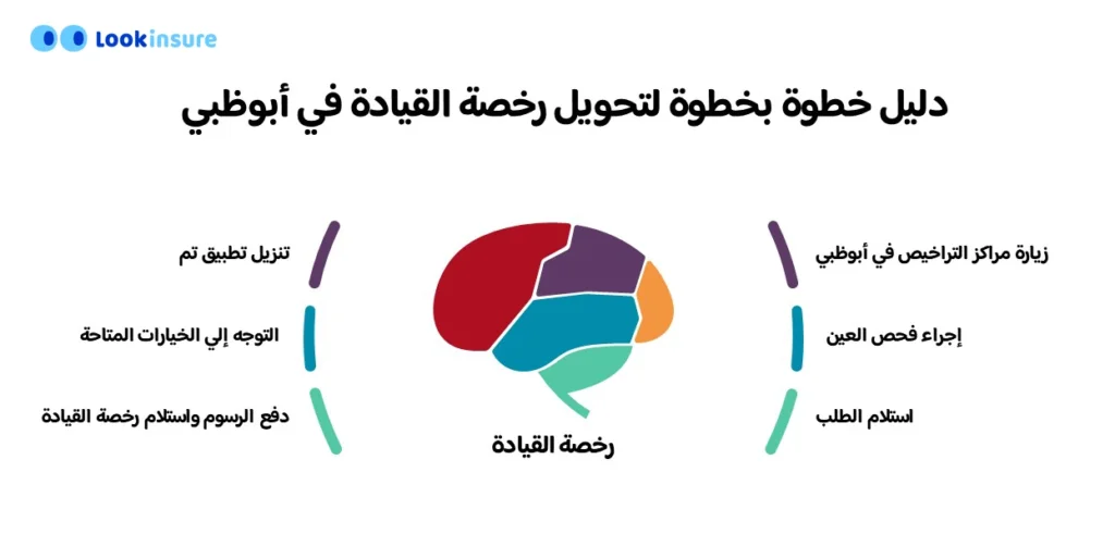 رسم بياني يوضح متطلبات رخصة القيادة في أبوظبي وإجمالي الرسوم لعام 2026