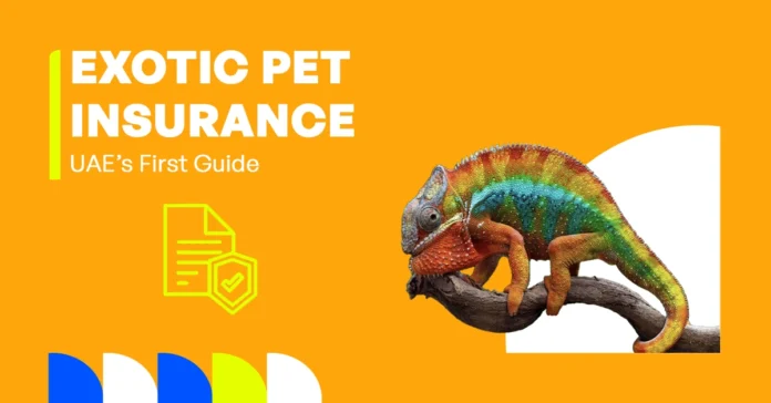 Falcon/parrot/iguana illustration for UAE exotic pet insurance guide