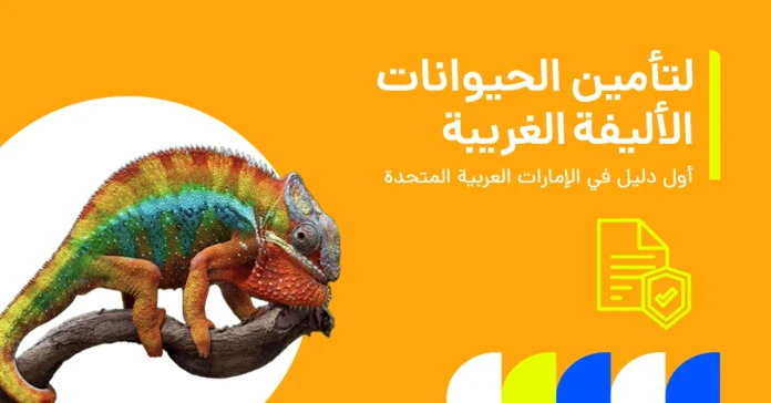 رسم توضيحي للصقر/الببغاء/الإغوانا لدليل تأمين الحيوانات الأليفة الغريبة في الإمارات العربية المتحدة