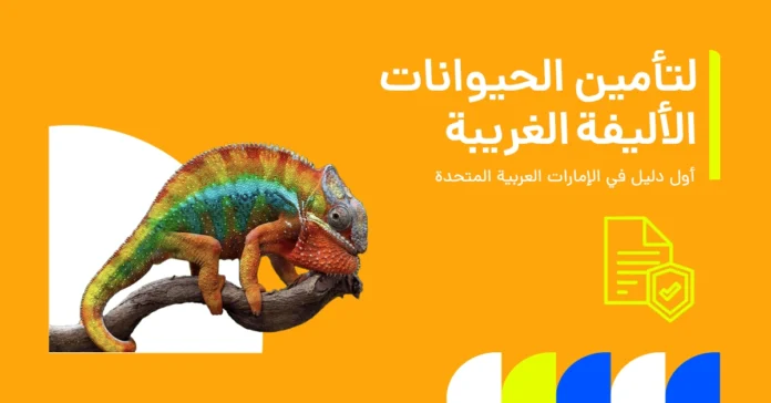 رسم توضيحي للصقر/الببغاء/الإغوانا لدليل تأمين الحيوانات الأليفة الغريبة في الإمارات العربية المتحدة