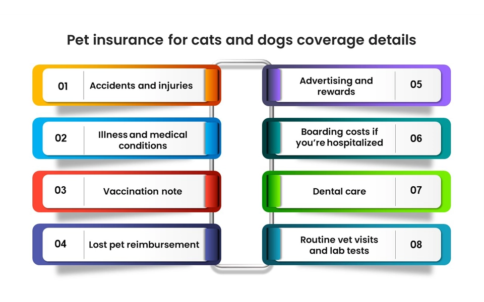 Illustration showing what pet insurance covers for cats and dogs