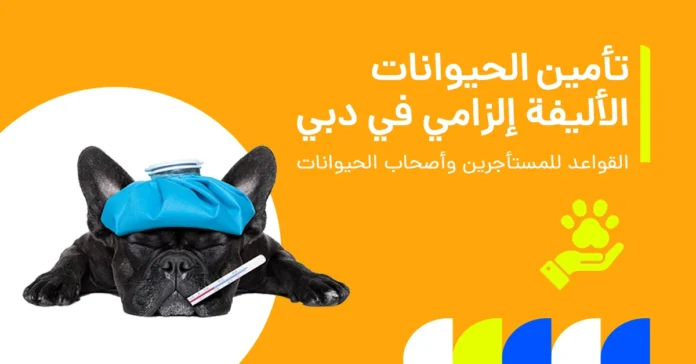 هل تأمين الحيوانات الأليفة إلزامي في دبي؟ القوانين للمستأجرين والمالكين 