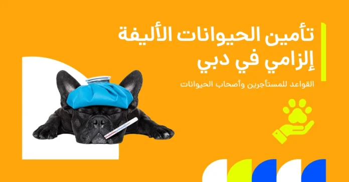 هل تأمين الحيوانات الأليفة إلزامي في دبي؟ القوانين للمستأجرين والمالكين 