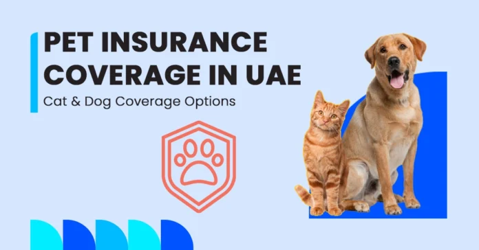 Pet Insurance For Cat & Dog in UAE