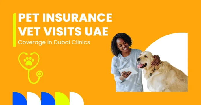 Checklist of 5 essential documents needed before applying for pet insurance