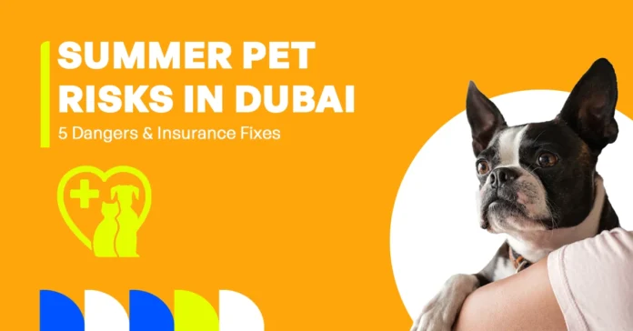 The image shows emergency vet care in Dubai with five common summer pet risks and how pet insurance can help cover them.