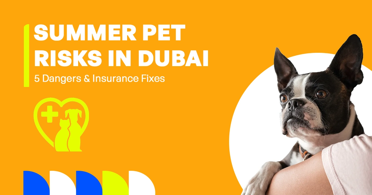 The image shows emergency vet care in Dubai with five common summer pet risks and how pet insurance can help cover them.