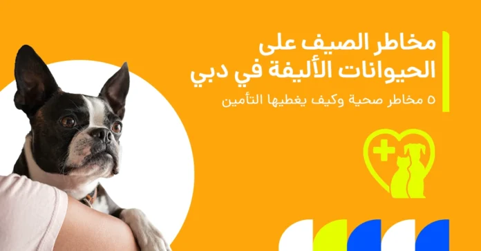 مخاطر صحة الحيوانات الأليفة في صيف دبي