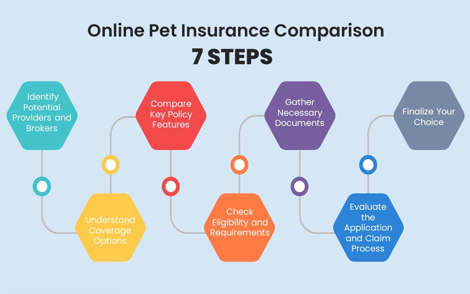 infographic showing 7 steps to compare pet insurance online