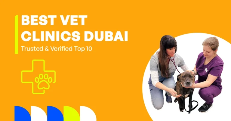 two veterinarians working inside a trusted veterinary clinic in dubai