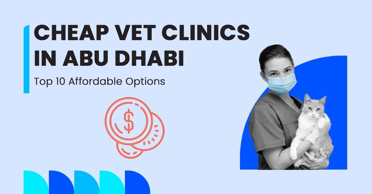 cheap vet in abu dhabi offering affordable care for pets