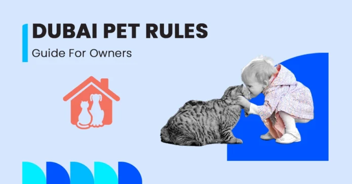 cat being cared for at home under pet rules in dubai